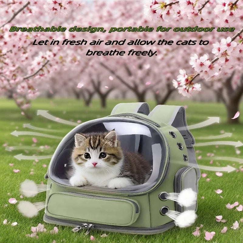 Transparent pet carrier backpack showing a cat inside, designed for outdoor use.