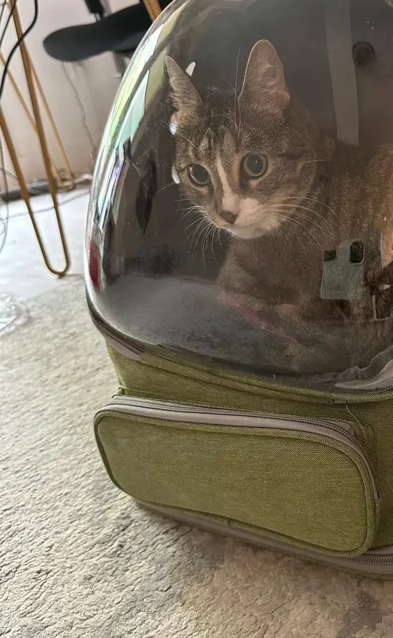 2026 Transparent Pet Carrier Backpack Breathable Cat and Small Dog Shoulder Bag Outdoor Travel Pet Supplies for Cats and Dogs