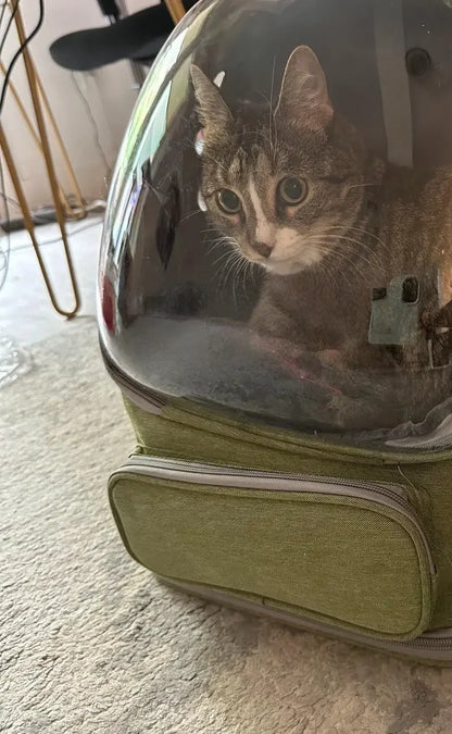 2026 Transparent Pet Carrier Backpack Breathable Cat and Small Dog Shoulder Bag Outdoor Travel Pet Supplies for Cats and Dogs